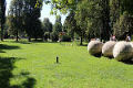 Veranstaltungen in städtischen Park- und Grünanlagen